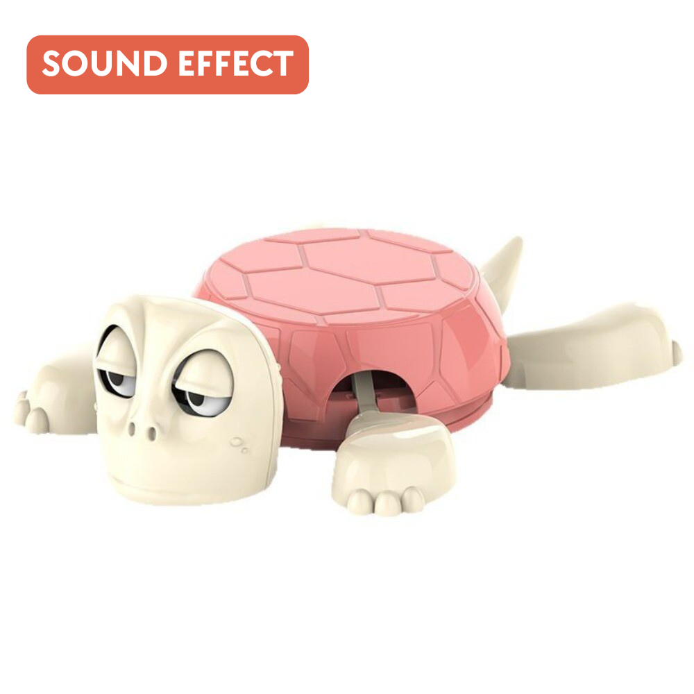 pink turtle with pink shell on a white background